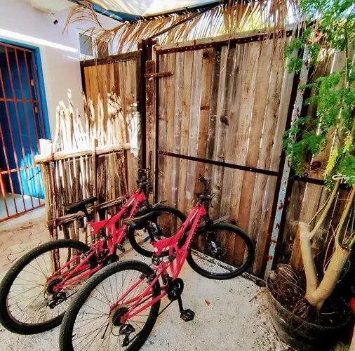 Apartment Little Oasis Cozumel