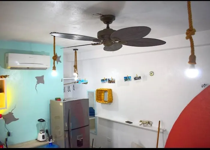 Little Oasis Apartment *